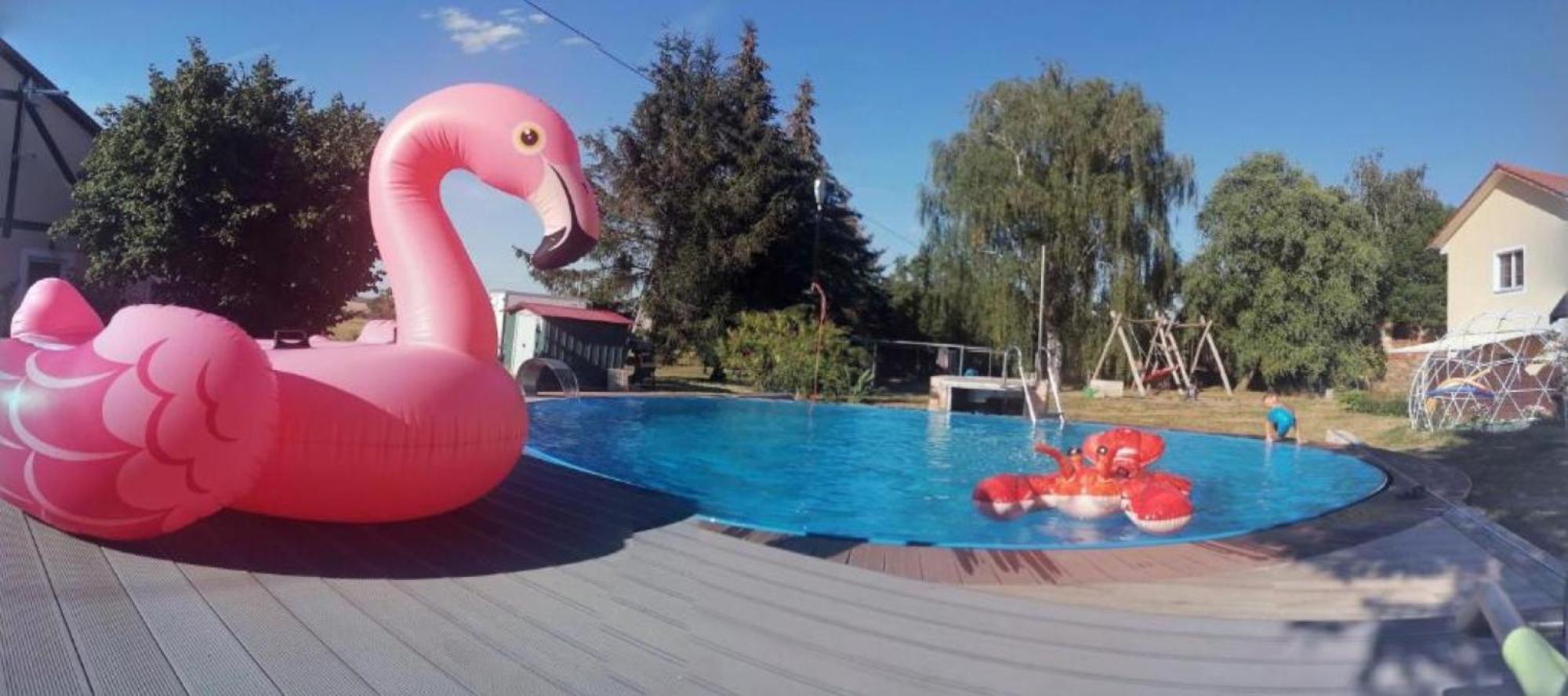 Hof Gruebler Daire Klipphausen Dış mekan fotoğraf